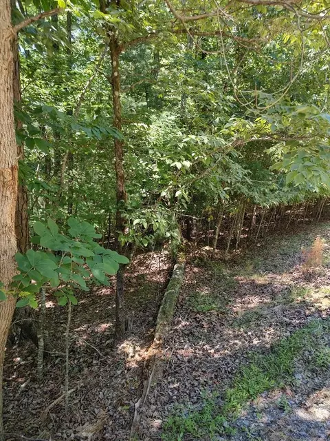 lot853 Matrix Ln, Ellijay, GA 30540