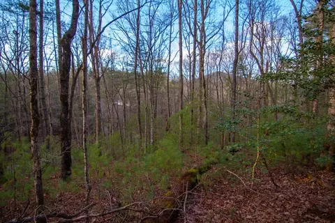 lot1 Rock Crk, Cherry Log, GA 30522
