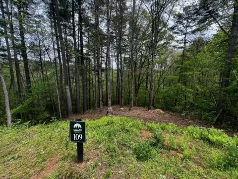 109 Red Oak Trl # R, Ellijay, GA 30540