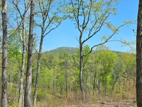 lot209 Oak Park Dr, Talking Rock, GA 30175