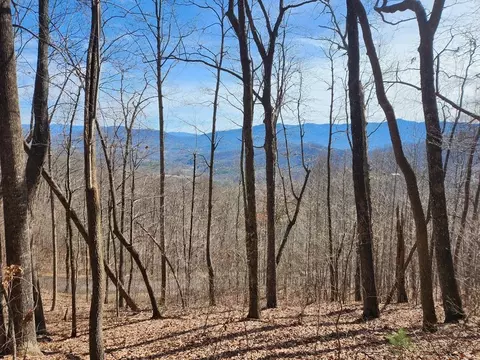 APT 28 Overlook Loop, Young Harris, GA 30582