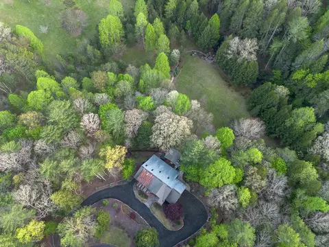 View/Area - 317 Crestview Ln, Cherry Log, GA 30522 photo 3 of 4