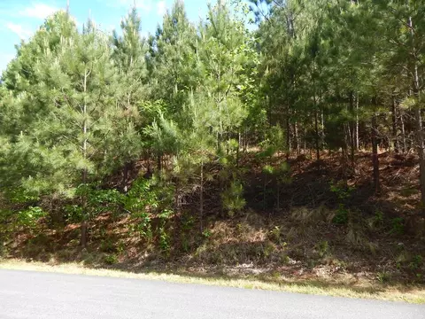 APT 361 The Cove At Thirteen Hundred, Blairsville, GA 30512
