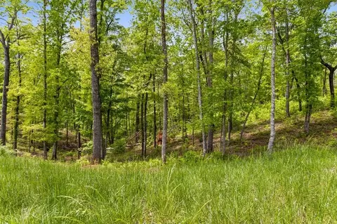 lot39 Jakes Landing Way, Ellijay, GA 30540