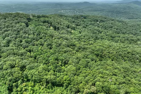 7 89 Ac Laurel Springs Rd, Mineral Bluff, GA 30559