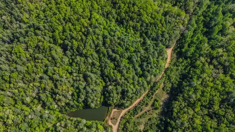 80 Acres Valley Lake Rd, Mineral Bluff, GA 30559