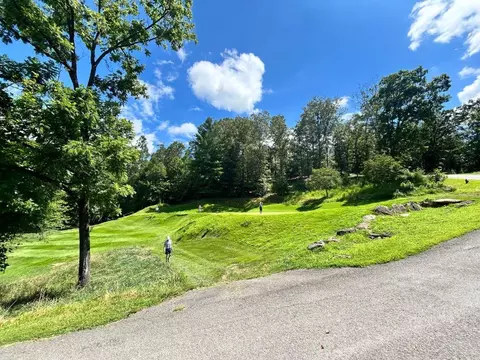 lot E Hp21 E Old Toccoa Loop, Mineral Bluff, GA 30559 photo 4
