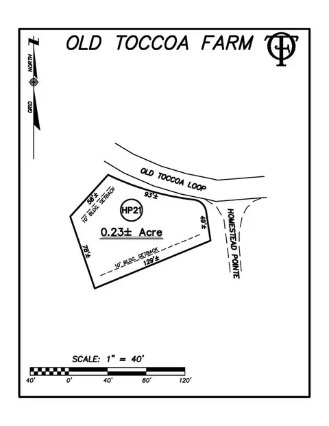 lot E Hp21 E Old Toccoa Loop, Mineral Bluff, GA 30559