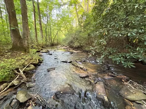 443 Mt Springer Rd, Ellijay, GA 30540