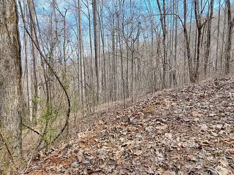 2 High Meadows Drive, Hayesville, NC 28904 photo 3