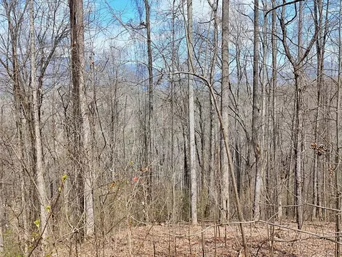 2 High Meadows Drive, Hayesville, NC 28904 photo 5