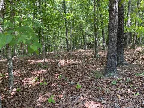 lot S 23 Chalcrest Way, Cave Spring, GA 30124