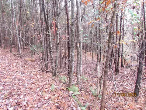 5 Wikle Road, Hayesville, NC 28904