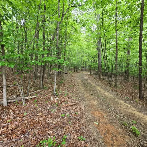 3 5acre Dusty Trl, Morganton, GA 30560