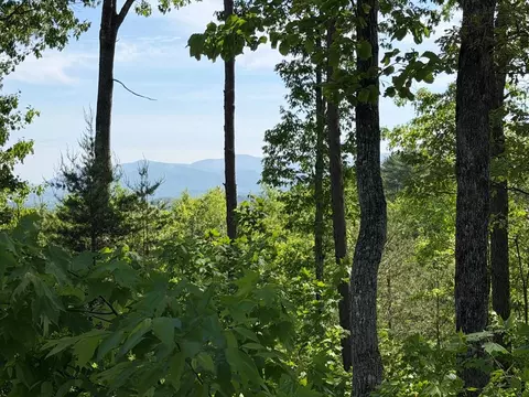 lot31 Summit View Ln, Ellijay, GA 30540