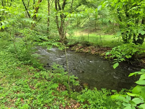 Other - 89 Eagle Fork Vly, Hayesville, NC 28904 photo 1 of 14