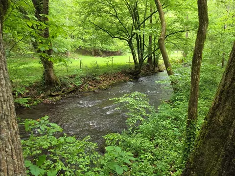 Other - 89 Eagle Fork Vly, Hayesville, NC 28904 photo 2 of 14