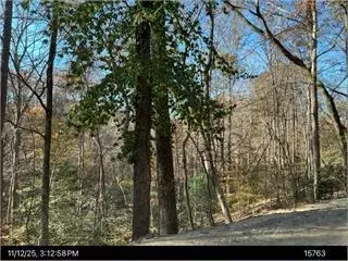 292 Nemos Dr, Ellijay, GA 30540