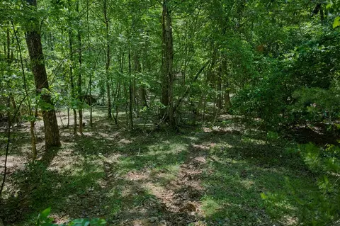 0 Mulberry Cir, Jasper, GA 30143 photo 6