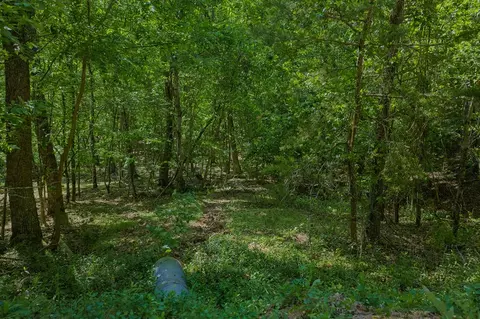 0 Mulberry Cir, Jasper, GA 30143 photo 2
