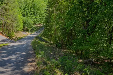 0 Mulberry Cir, Jasper, GA 30143 photo 4