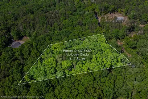 0 Mulberry Cir, Jasper, GA 30143 photo 12