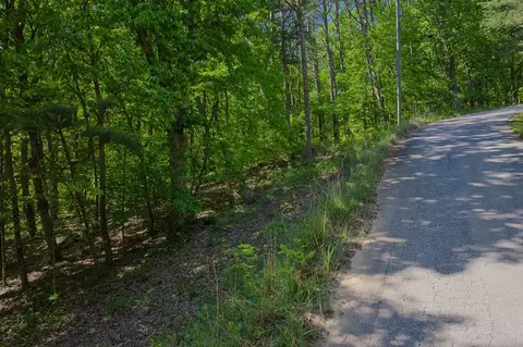0 Mulberry Cir, Jasper, GA 30143 photo 3