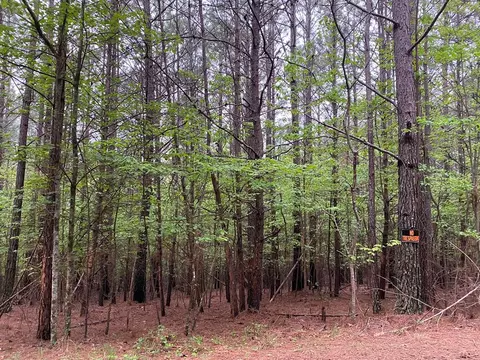 0 Mull Dr, Mineral Bluff, GA 30559
