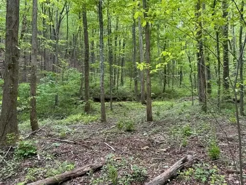 Tr 1 Pleasant Hill Trail, Ellijay, GA 30540