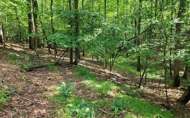 0 Oneida Cir, Ellijay, GA 30540