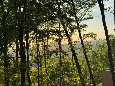 lot239 Kittatinny Dr, Mineral Bluff, GA 30559