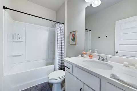Bath - 117 Pinnacle Way, Jasper, GA 30143 photo 4 of 4