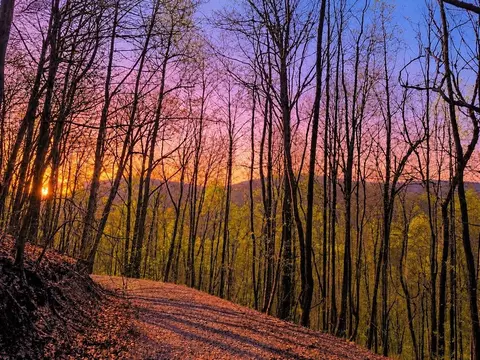 29 Ac Hidden Valley Dr, Ellijay, GA 30536