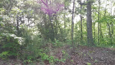 00 Fain Peak Dr, Murphy, NC 28906 photo 7