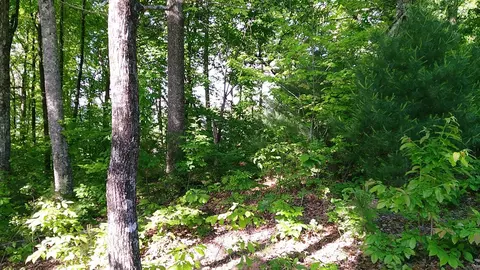 00 Fain Peak Dr, Murphy, NC 28906 photo 11