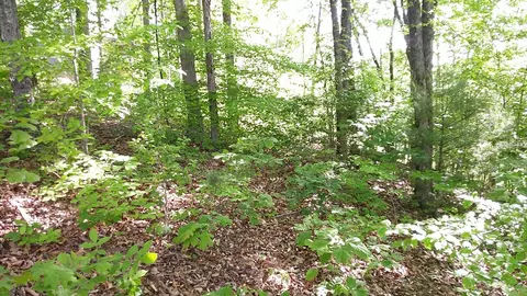 00 Fain Peak Dr, Murphy, NC 28906 photo 3