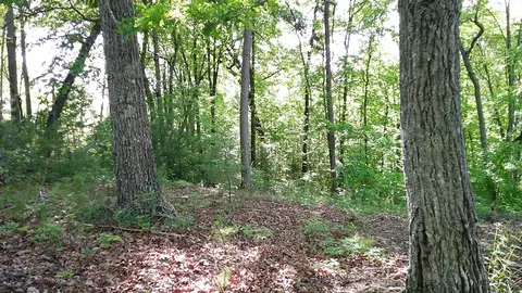 00 Fain Peak Dr, Murphy, NC 28906 photo 8