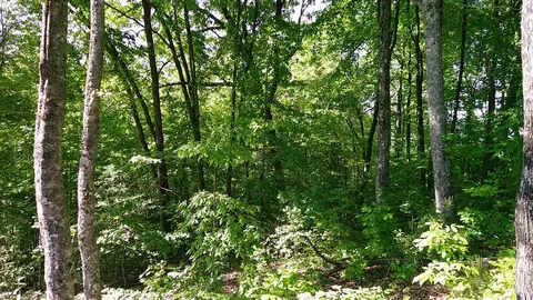 00 Fain Peak Dr, Murphy, NC 28906 photo 10