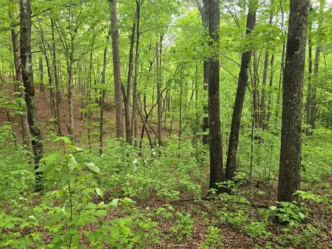 0 Pinnacle Dr, Ellijay, GA 30540