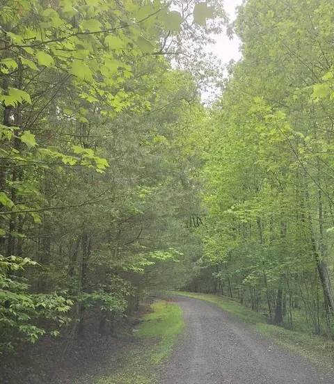 lot14 Noontootla Ridge Ct, Blue Ridge, GA 30513