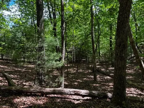 lot43 Edgewood Trl, Blairsville, GA 30512