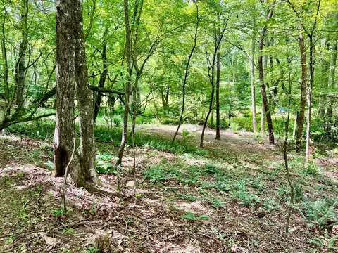lot3 Lower Fox Trl, Blairsville, GA 30512