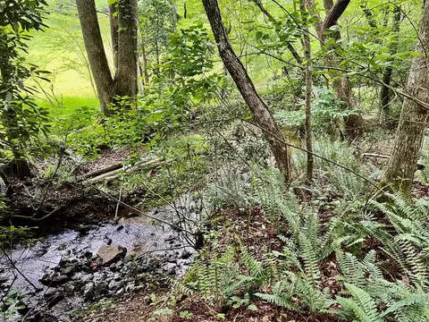 lot4 Lower Fox Trl, Blairsville, GA 30512