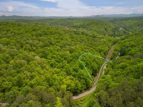 2 90acre Galloway Rd, Blue Ridge, GA 30513