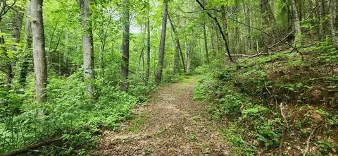 13 Acres Goose Island Rd, Ellijay, GA 30540