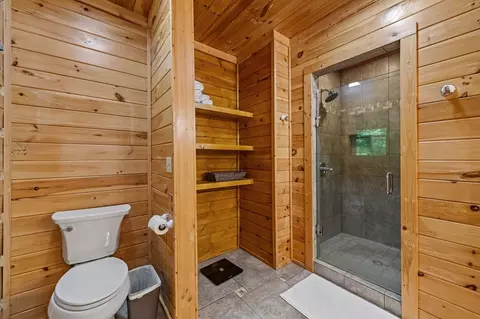 Bath - 66 Windy Hill Dr, Cherry Log, GA 30522 photo 6 of 9