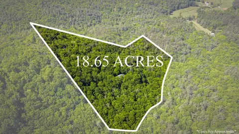 View/Area - 66 Windy Hill Dr, Cherry Log, GA 30522 photo 2 of 2