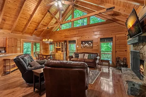 Living - 66 Windy Hill Dr, Cherry Log, GA 30522 photo 6 of 10