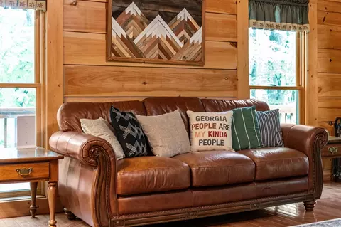Living - 66 Windy Hill Dr, Cherry Log, GA 30522 photo 9 of 10
