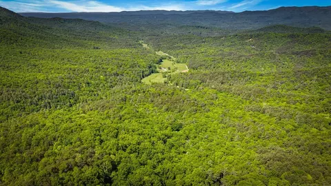 Other - 66 Windy Hill Dr, Cherry Log, GA 30522 photo 18 of 30